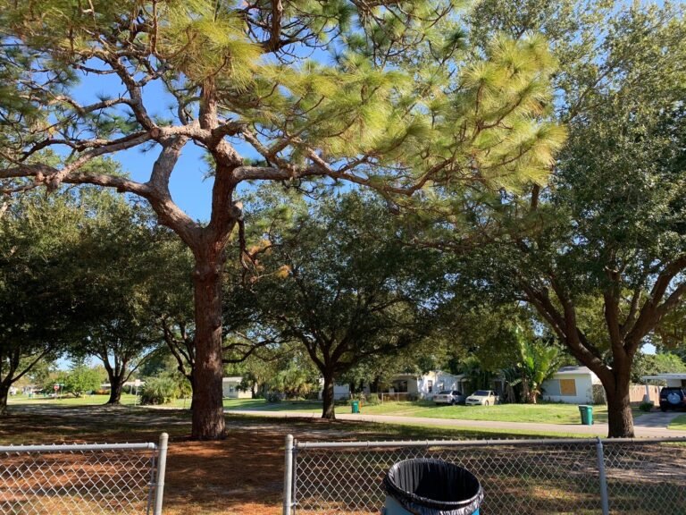 mhp, Manufactured homes for sale, living, beautifultreesadorn, Parakeet Communities, safe