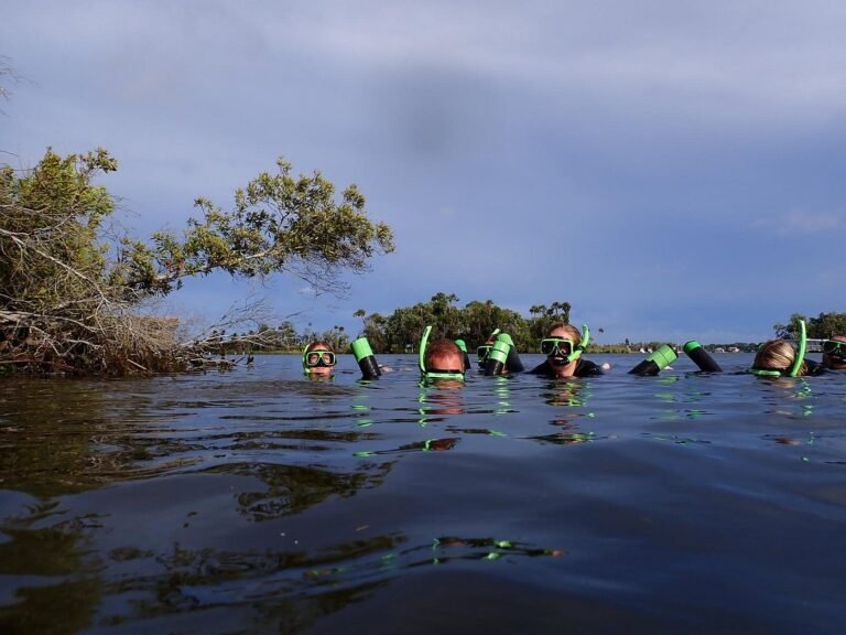 homes, comfortable, living, Manufactured homes for rent, mobile homes, caption