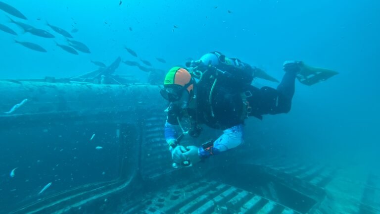 Steps to finding a new home, living, homes, caption, Manufactured homes for rent, modern