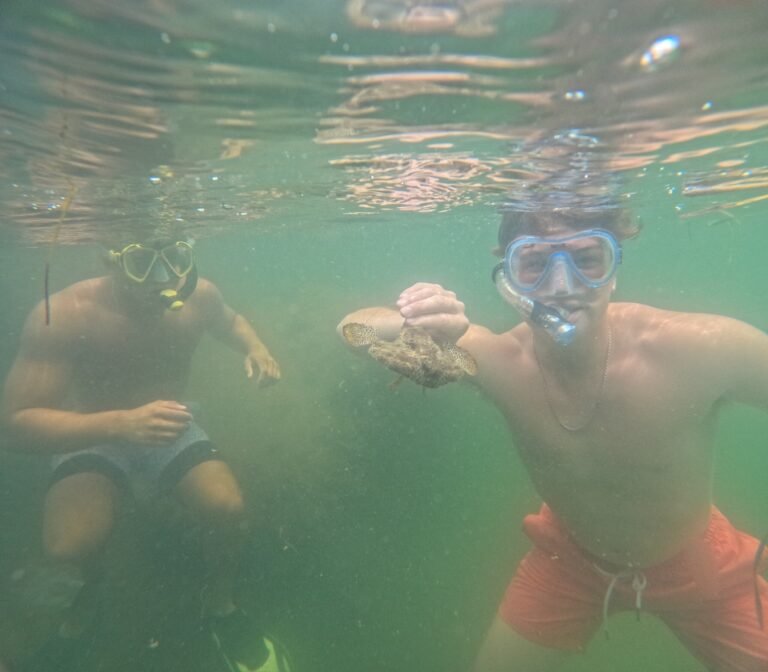 safe, caption, Parakeet Communities, homes, mhp, Manufactured homes for sale