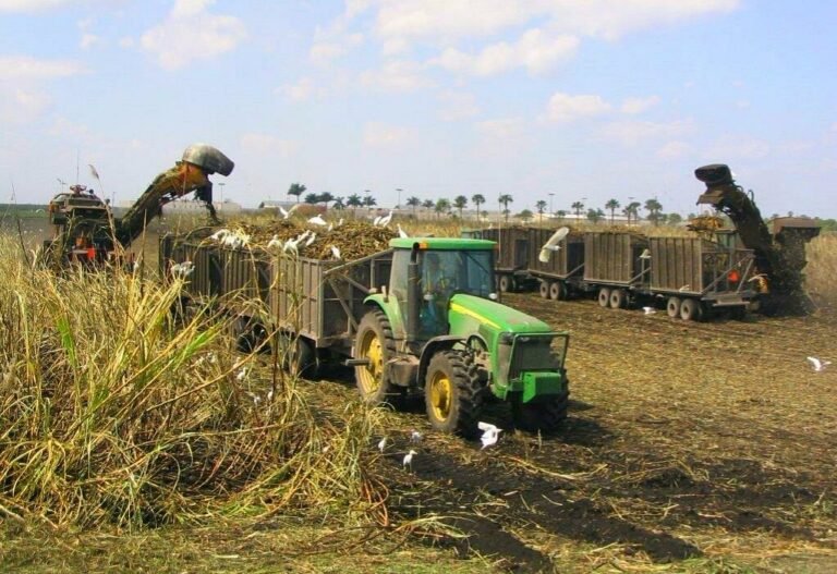 Manufactured homes, homes, mhp, harvestingmachines, safe, Manufactured homes for rent