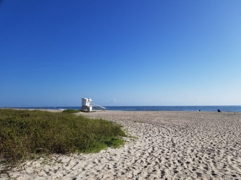 Manufactured homes for rent, safe, living, nocrowdsgorgeouswide, Parakeet Communities, comfortable