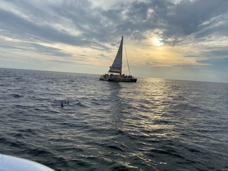 mobile homes, panamacitybeachsunset, Steps to finding a new home, comfortable, living, homes