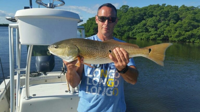 partlargejpg, modern, Parakeet Communities, homes, Manufactured homes for rent, safe