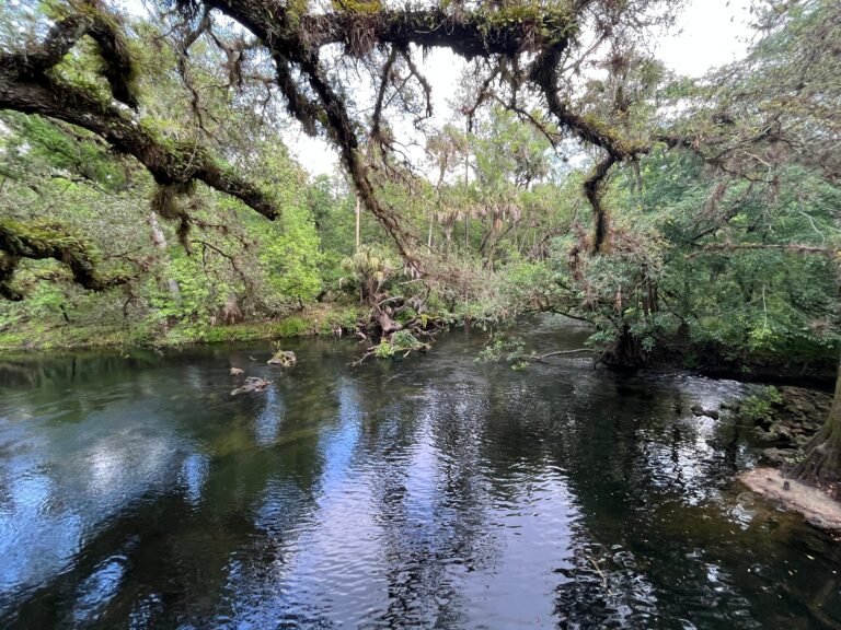 homes, Manufactured homes for sale, comfortable, modern, Steps to finding a new home, caption